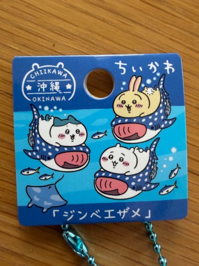 【沖縄限定】ハチワレ　ジンベエザメ キーチェーンぬいぐるみ