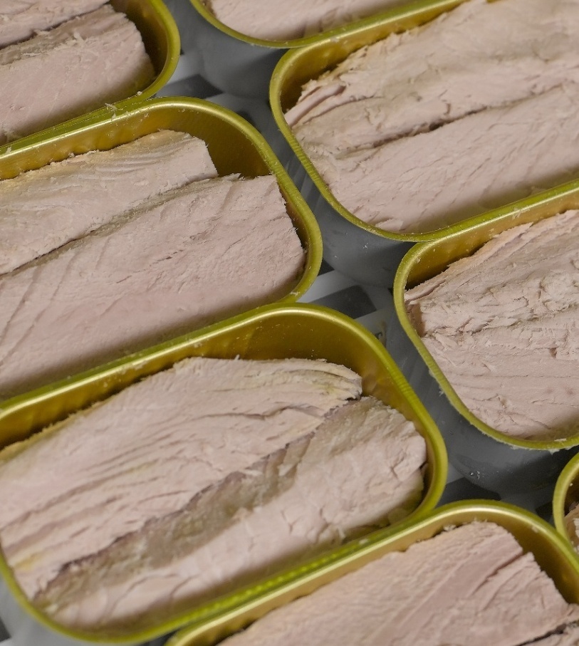 【無添加】ポルトガル産ツナ缶フィレ　ノンオイル　6缶セット