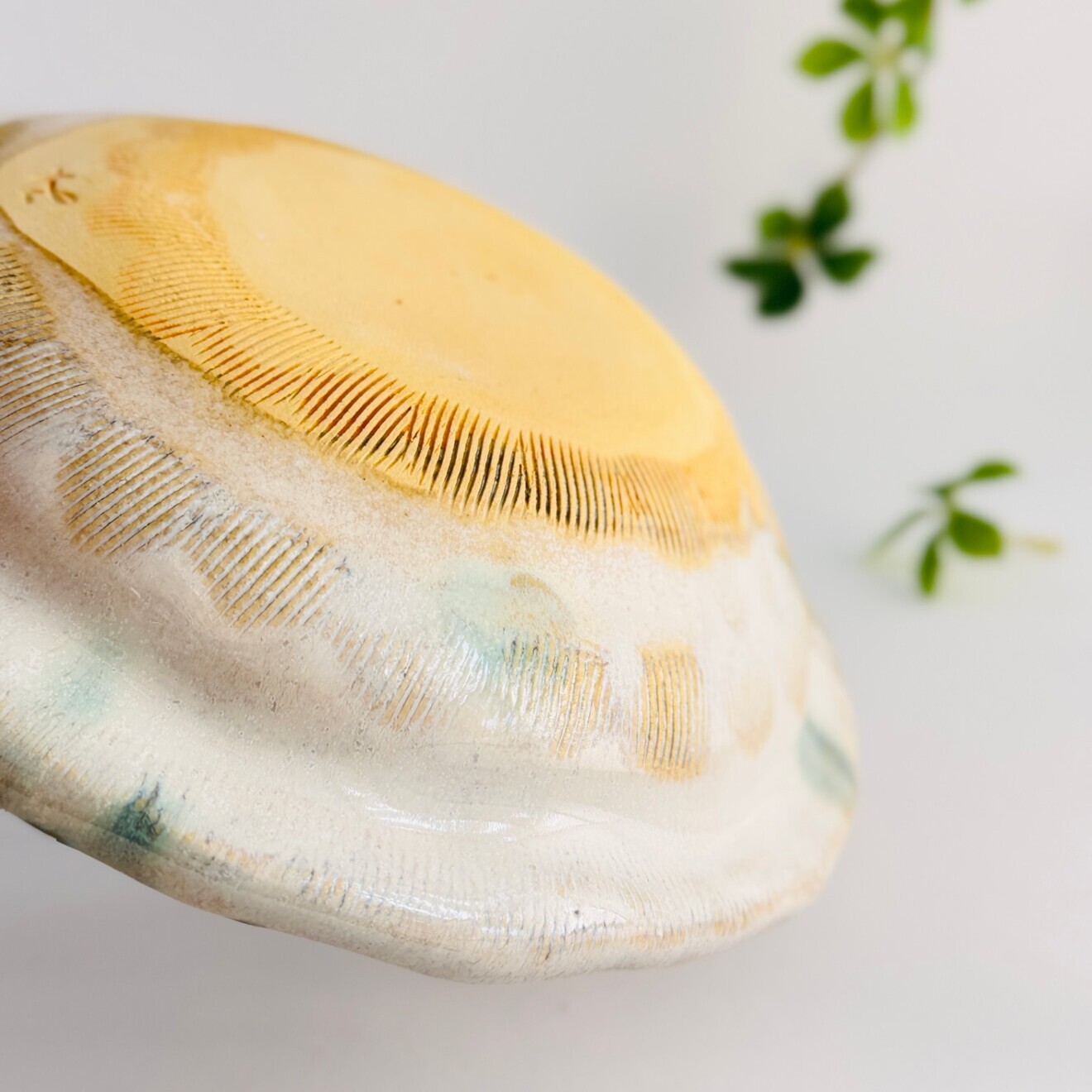 お料理が、とっても美味しく見える「よりそう鉢」