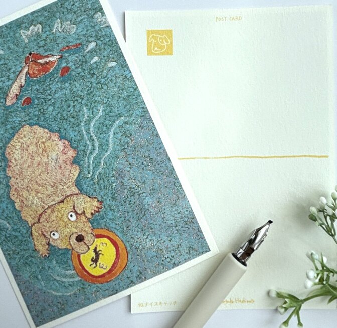 【2枚で送料無料】　ナイスキャッチ｜イラストポストカード