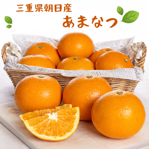 【三重県産】甘夏あまなつ🍊 ５個(M、Lサイズ)ご家庭用　送料無料 朝日をたっぷり浴びて育ちました