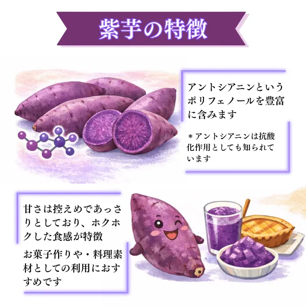 紫芋 5キロ お菓子作りやポタージュなどに♪