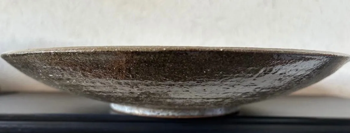丸皿(蛍手斑紋)大皿 皿 器 和食器 陶器 受賞作家 手作り 一点物 ⑬