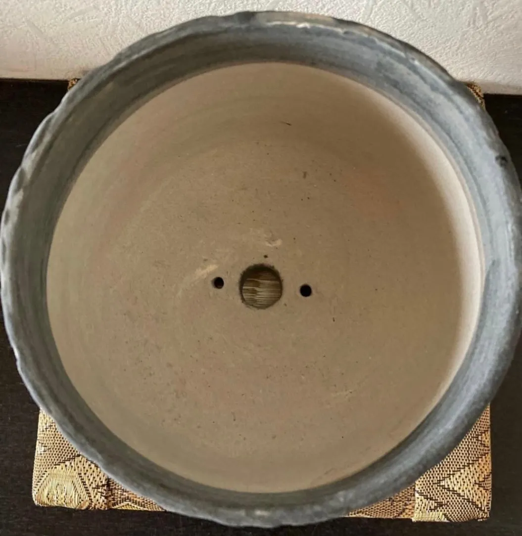 植木鉢(マット) 浅鉢 3号相当 器 陶器 観葉植物 受賞作家 手作り 一点物 ⑦