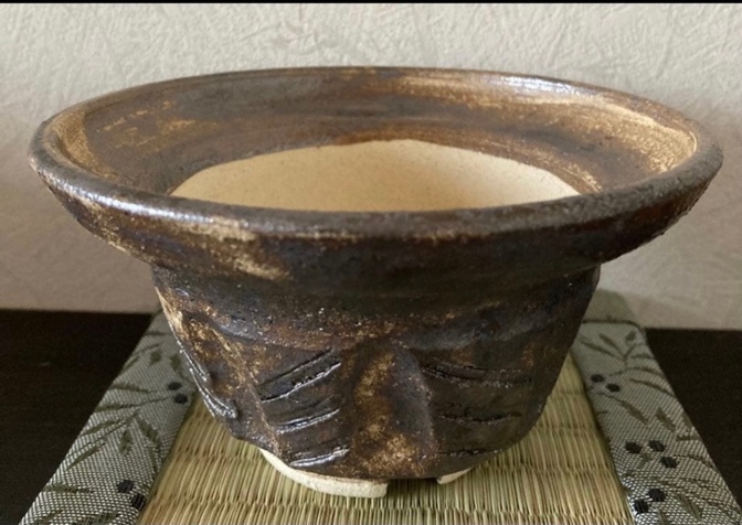 ⑧ 植木鉢(金彩) 浅鉢 3号相当 器 陶器 観葉植物
