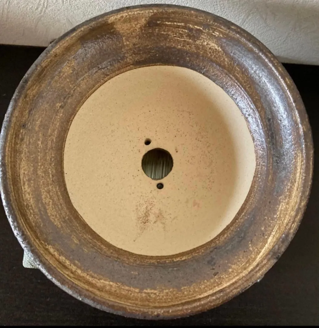 植木鉢(金彩) 浅鉢 3号相当 器 陶器 観葉植物 受賞作家 手作り 一点物 ⑧