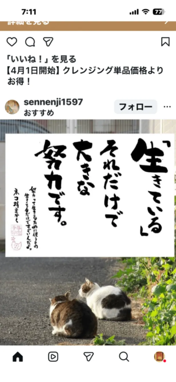 楕円皿(青磁) 皿 器 和食器 陶器 受賞作家 手作り 一点物 ㉗