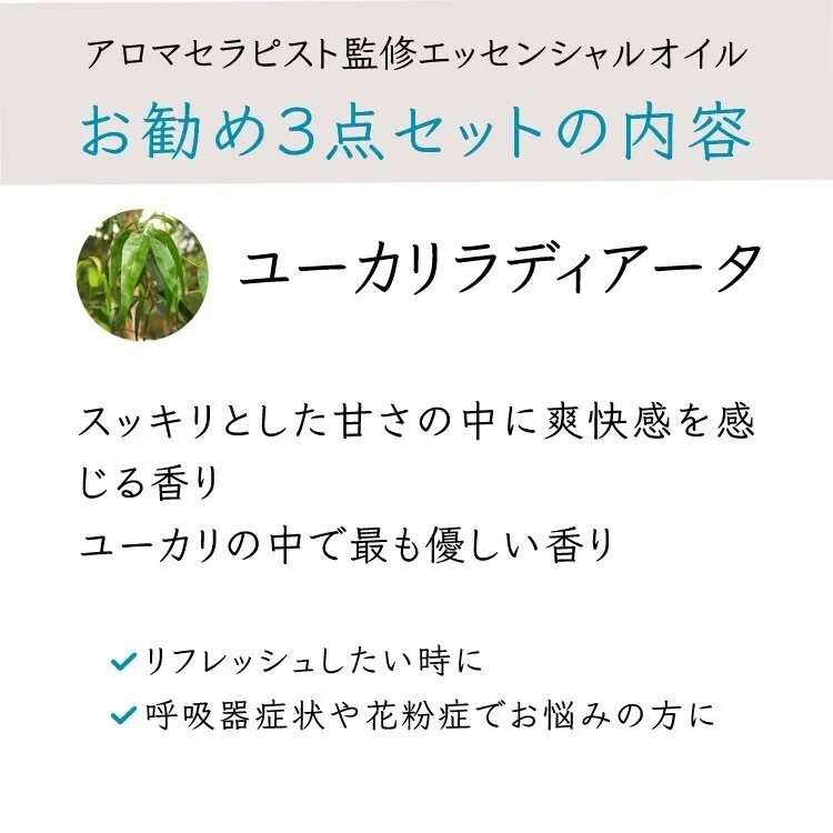 【10%OFF】アロマディフューザー＆エッセンシャルオイルのセット【ダークウッド】