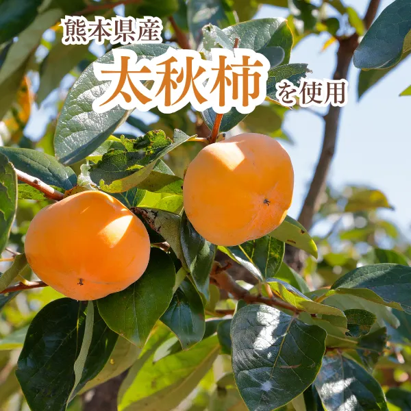 無添加 太秋柿 ドライフルーツ 50g×2袋