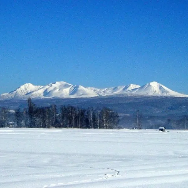 【R８新米】【秋の味覚】北海道米セット 10kg～（ゆめぴりか・ななつぼし）