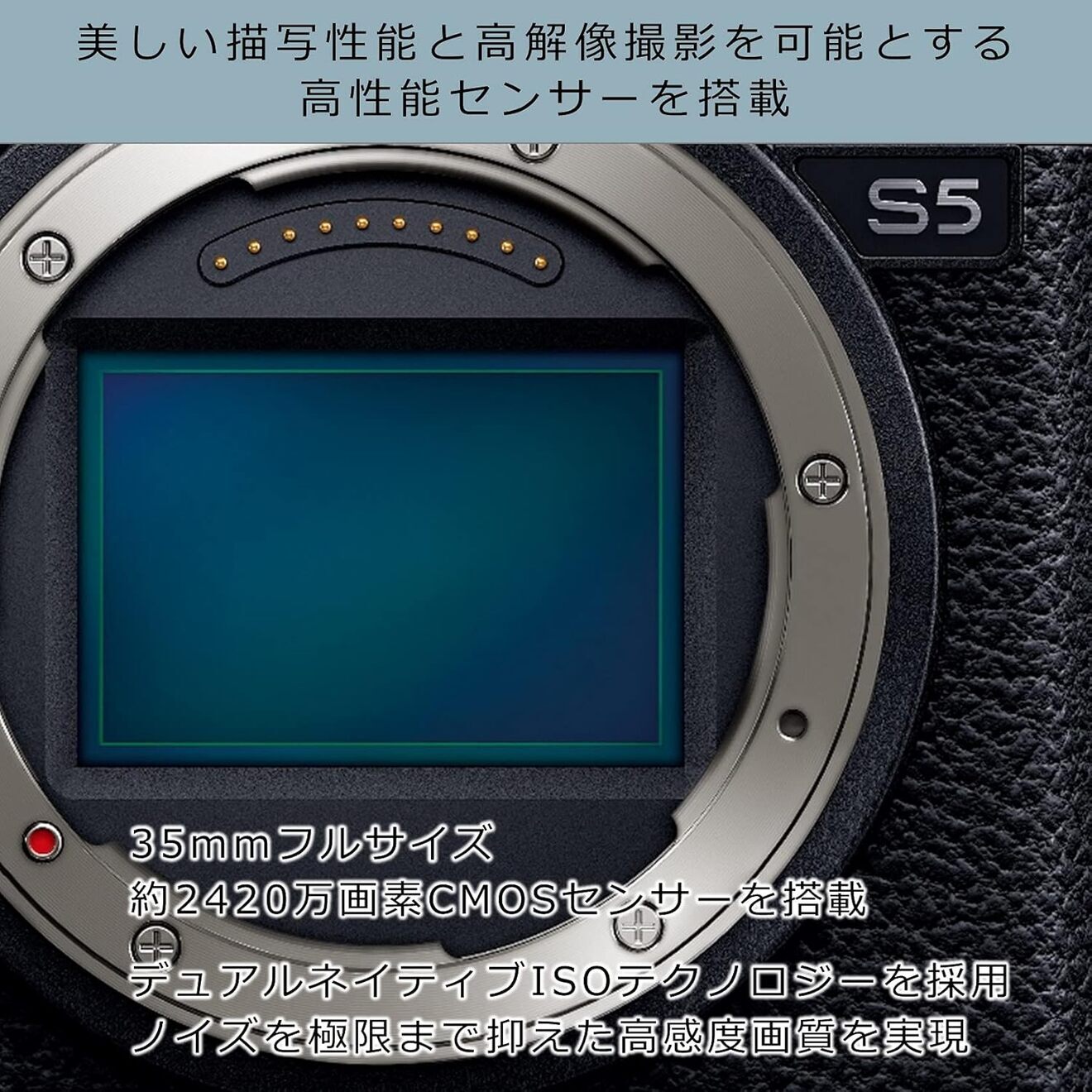 【延長3年保証】Panasonicデジタル一眼カメラ　DC-S5