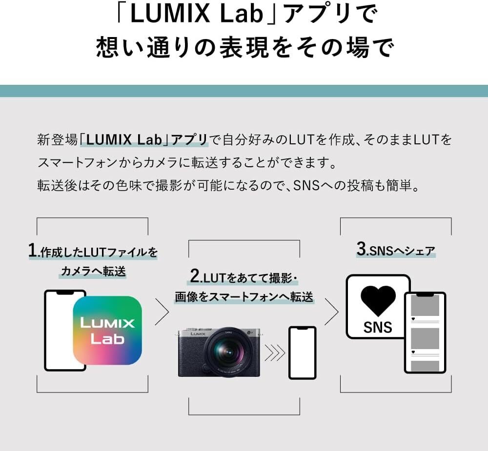 【延長3年保証】Panasonicデジタル一眼カメラ　DC-S9W