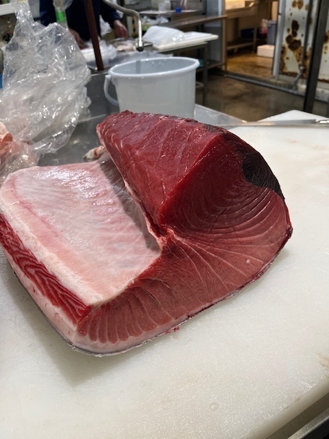 【生仕入れ・冷凍不使用】長崎県産 本マグロ約1kg（処理済）｜送料無料