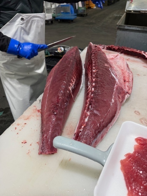 【生仕入れ・冷凍不使用】長崎県産 本マグロ約1kg（処理済）｜送料無料