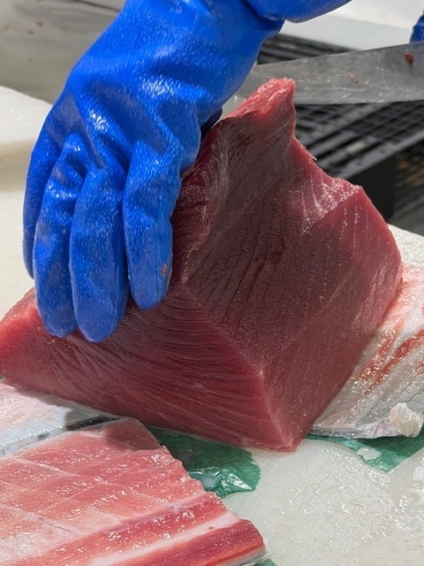 【生仕入れ・冷凍不使用】長崎県産 本マグロ約1kg（処理済）｜送料無料