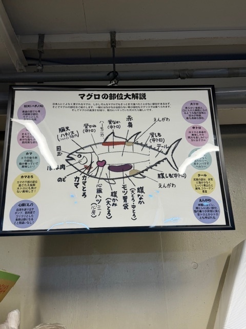 【生仕入れ・冷凍不使用】宮崎県産 キハダマグロ約1kg（処理済）｜送料無料