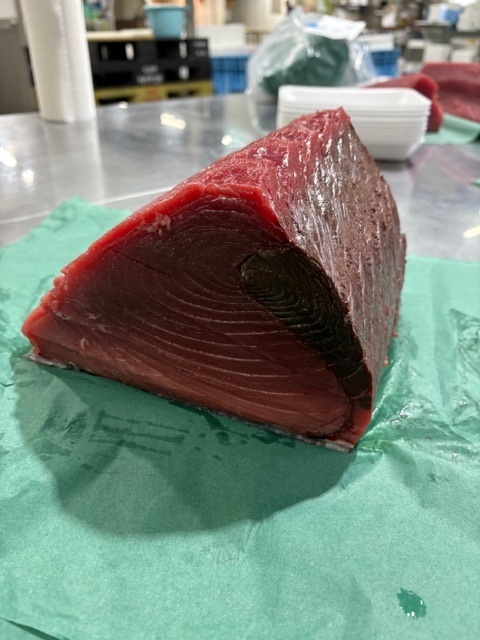 【生仕入れ・冷凍不使用】宮崎県産 キハダマグロ約1kg（処理済）｜送料無料