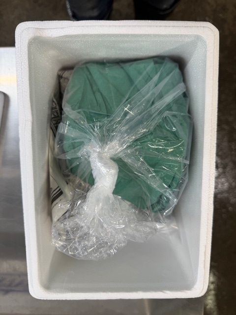 【生仕入れ・冷凍不使用】宮崎県産 キハダマグロ約1kg（処理済）｜送料無料