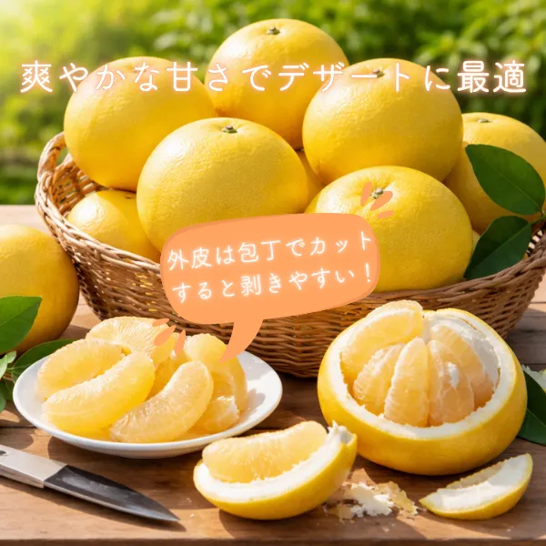 さわやかな甘みと香りを楽しむ 熊本県産パール柑 10kg