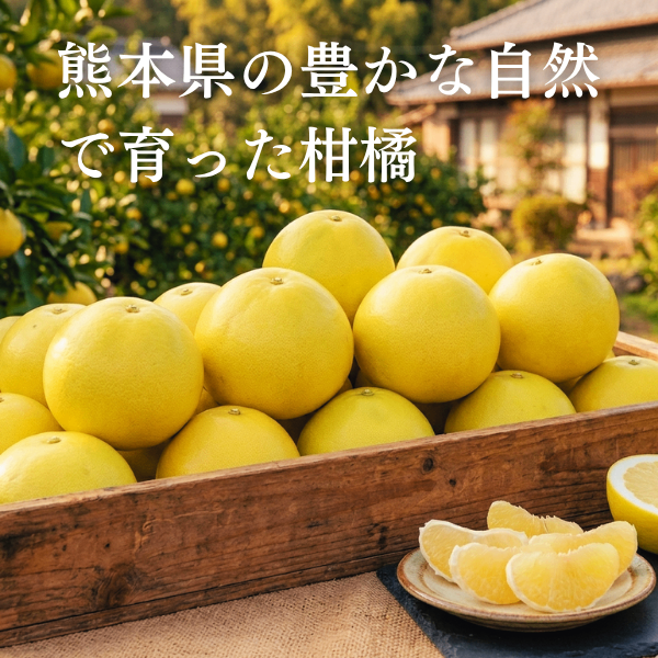 さわやかな甘みと香りを楽しむ 熊本県産パール柑 9kg