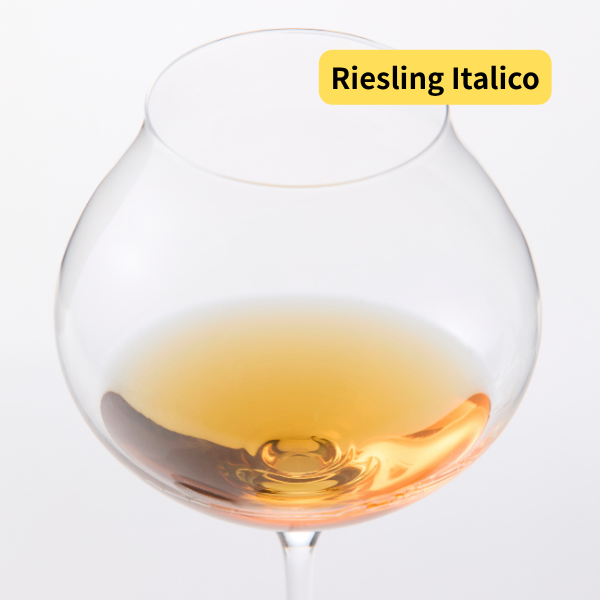 【オレンジワイン】リースリング イタリコ 2020/イタリア フリウリ州｜ナチュラルワイン