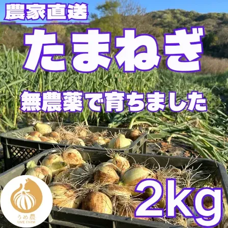 【農家直送】熊本県産 たまねぎ 2kg 栽培期間中農薬不使用