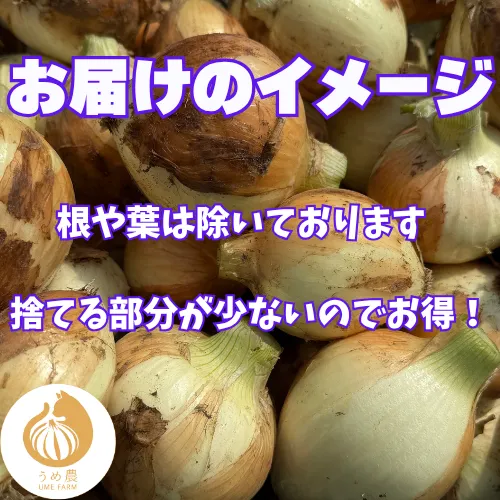 【農家直送】熊本県産 たまねぎ 2kg 栽培期間中農薬不使用