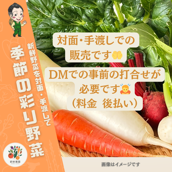 【手渡しの方 限定：事前の打合せをお願いします】彩り野菜【料金後払い １つ 150円〜】彩好菜園