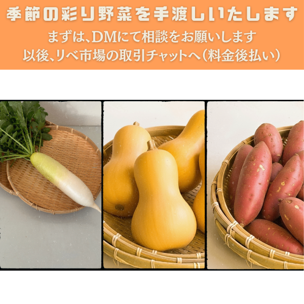 【手渡しの方 限定：事前の打合せをお願いします】彩り野菜【料金後払い １つ 150円〜】彩好菜園