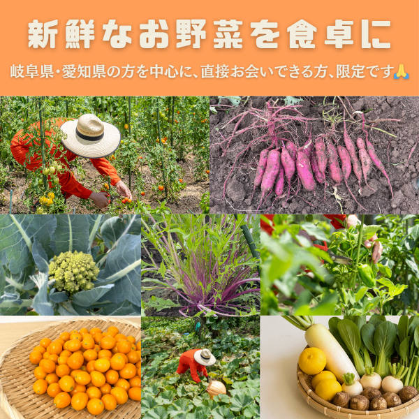 【手渡しの方 限定：事前の打合せをお願いします】彩り野菜【料金後払い １つ 150円〜】彩好菜園
