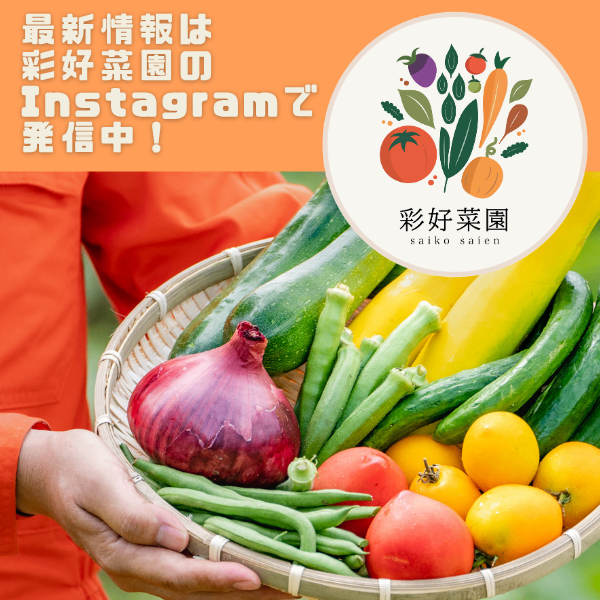 【手渡しの方 限定：事前の打合せをお願いします】彩り野菜【料金後払い １つ 150円〜】彩好菜園