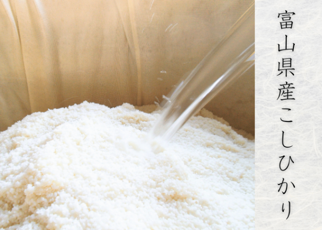 【リベ限定】こしひかり味噌（計800g）【送料無料】北海道産大豆・富山県産コシヒカリ米・国産天日塩