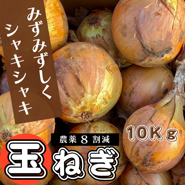 【農薬８割削減】生でも美味しいシャキシャキ玉ねぎ　M〜LLサイズ　10kg