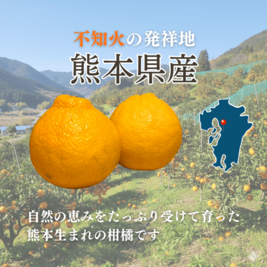 熊本県産 不知火 ５kg 【訳あり】