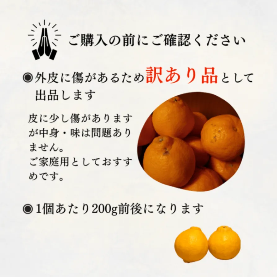 熊本県産 不知火 10kg 【訳あり】