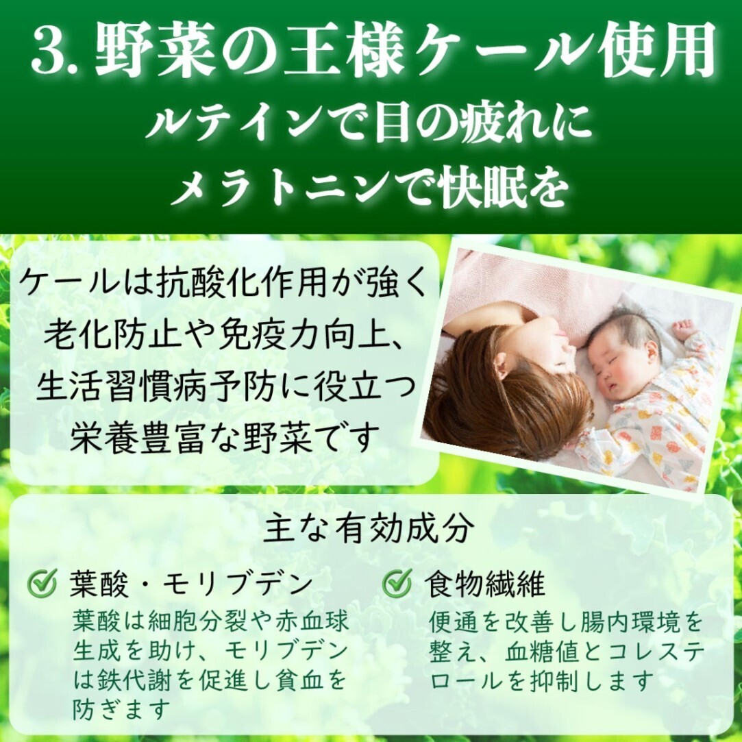 青汁 24個入り 乳酸菌 食物繊維 大麦若葉 飲みやすい 粉末
