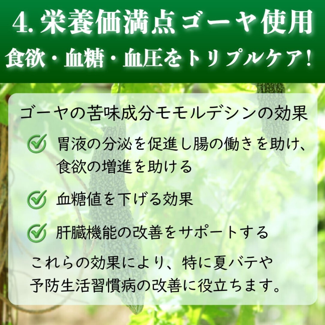 青汁 48個入り 乳酸菌 食物繊維 大麦若葉 飲みやすい 粉末