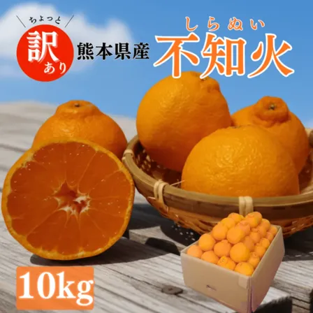 熊本県産 不知火 10kg 【訳あり】
