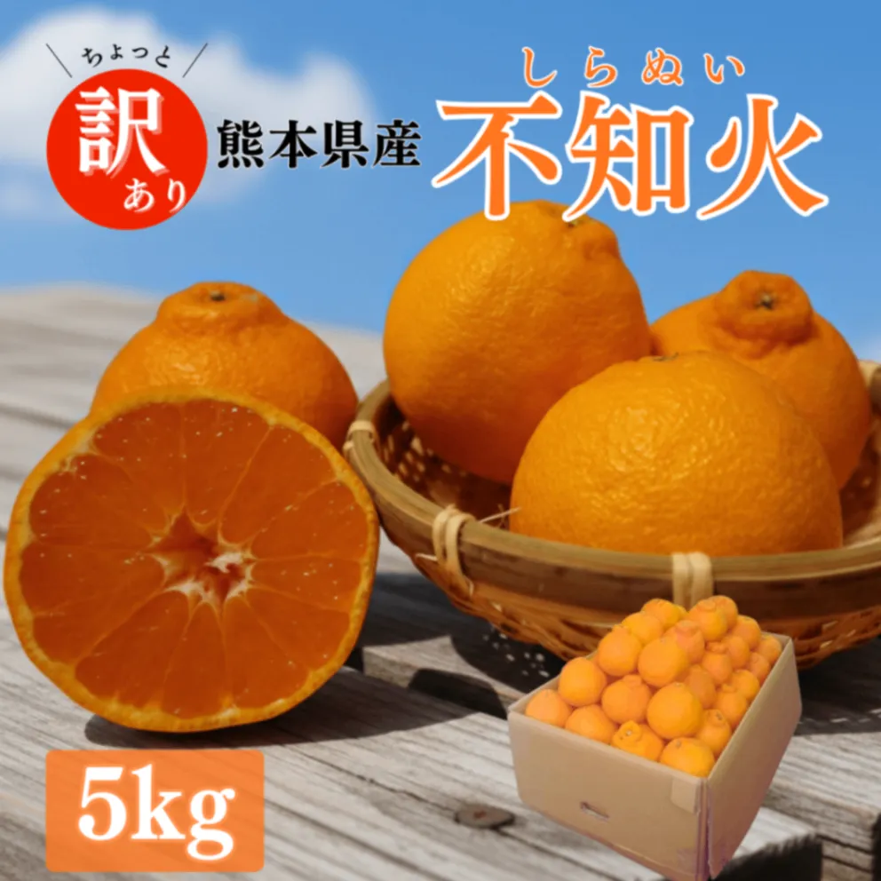 熊本県産 不知火 5kg 【訳あり】