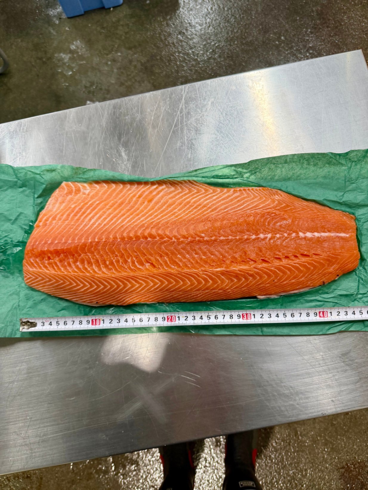 世界一と評されるタスマニアサーモン 半身約1.4kg〜 生仕入れ（約15〜20人前）