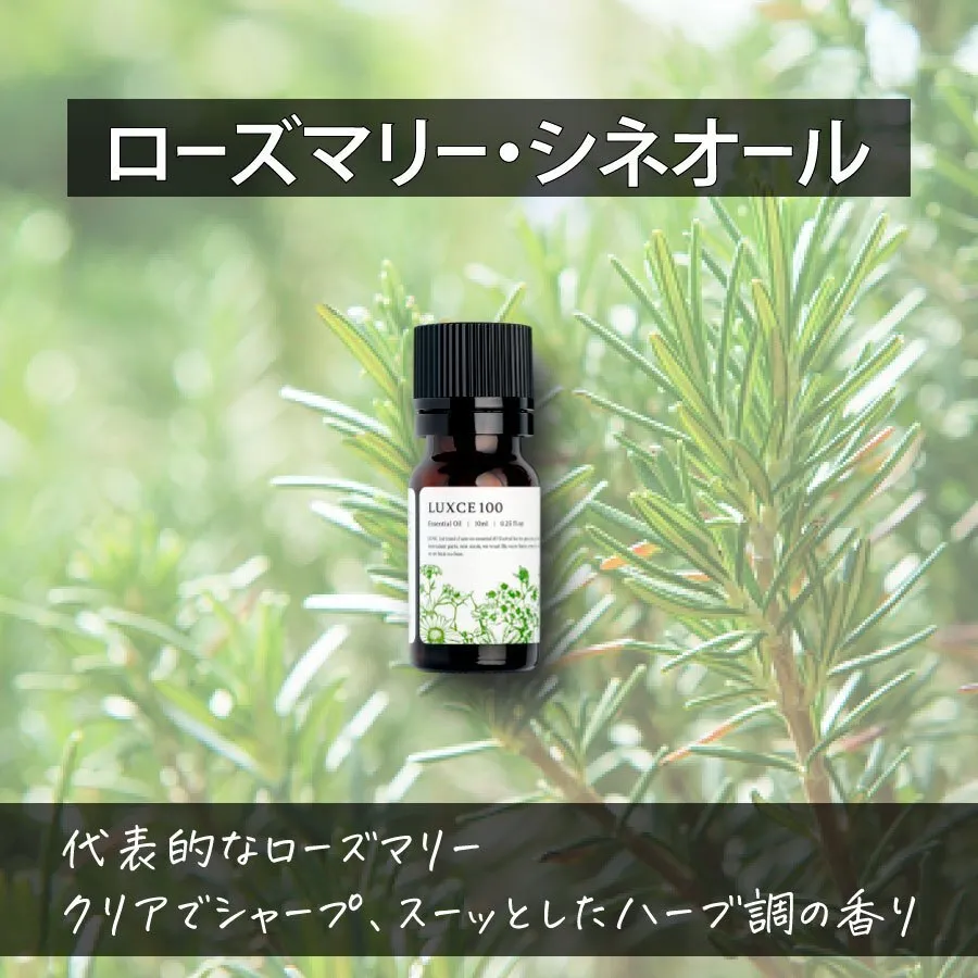 ローズマリー・シネオール🌿【アロマセラピスト監修エッセンシャルオイル】