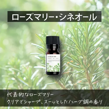 ローズマリー・シネオール🌿【アロマセラピスト監修エッセンシャルオイル】