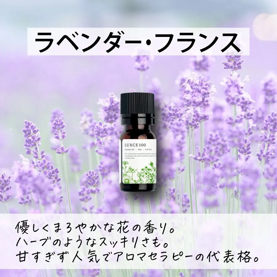 ラベンダー・フランス🪻【アロマセラピスト監修エッセンシャルオイル】
