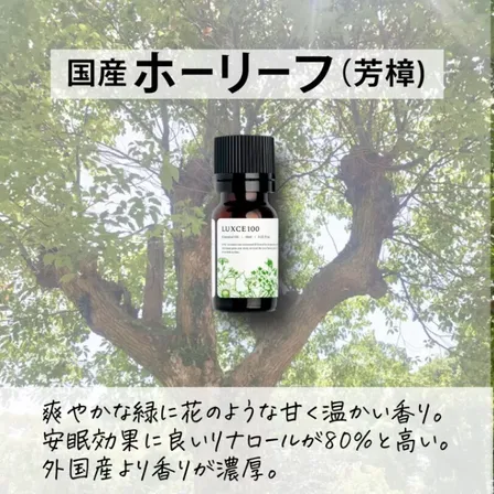 国産🎌ホーリーフ（芳樟）🌳5ml【アロマセラピスト監修エッセンシャルオイル】