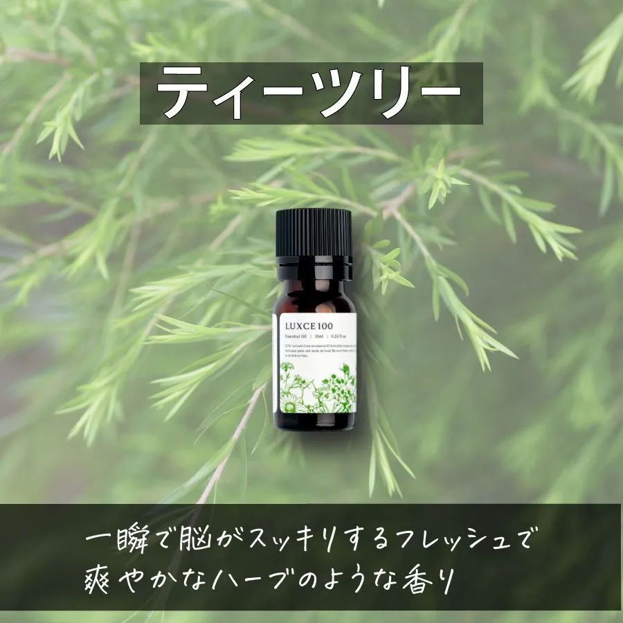 ティーツリー🌿【アロマセラピスト監修エッセンシャルオイル】