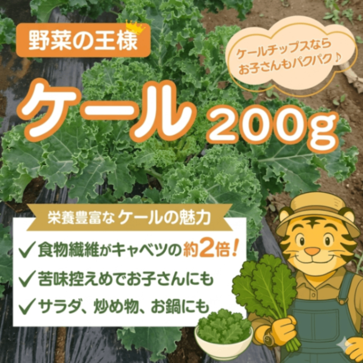 定番”たいちゃんのケール”
２月に植えたケールがついに登場✨️
野菜の王様で栄養価バツグン！サラダに
