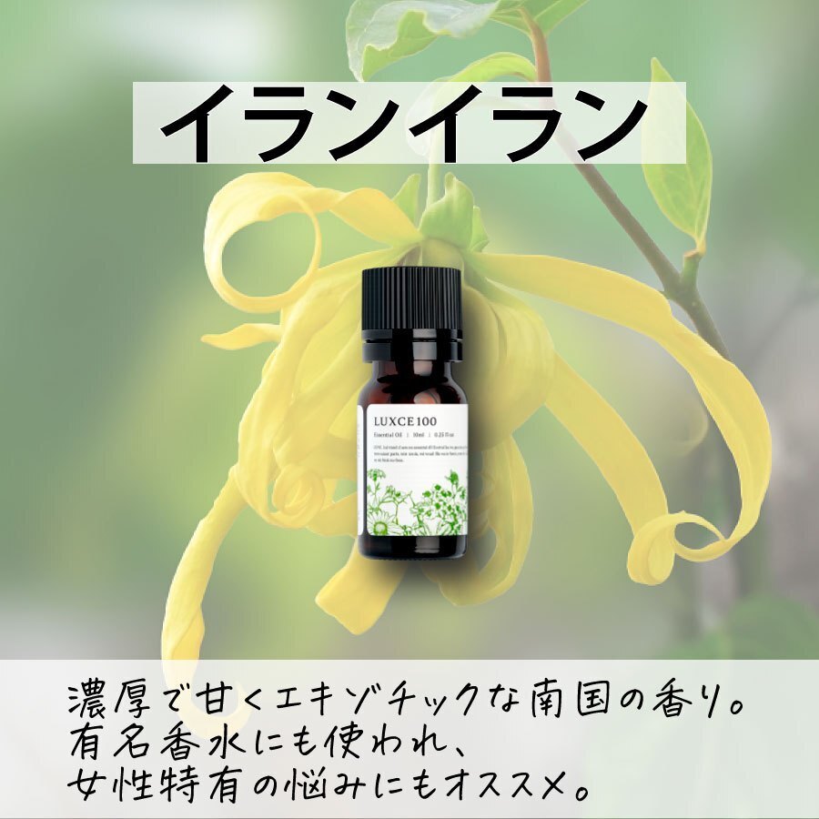 イランイラン🏵️【アロマセラピスト監修エッセンシャルオイル】