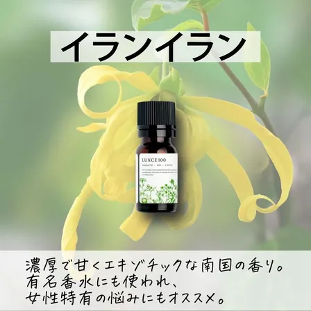 イランイラン🏵️【アロマセラピスト監修エッセンシャルオイル】