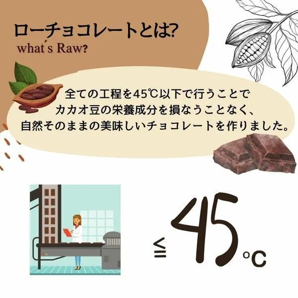 ★値下げSALE 30％OFF★【有機JAS】ローチョコレート ヘーゼルナッツ 30g