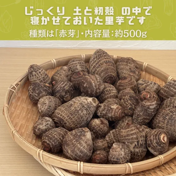 冬越しの里芋(約500g・赤芽)】：宅急便コンパクト📦️で発送します